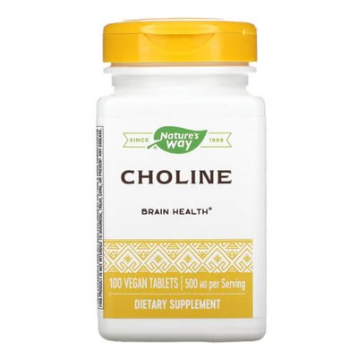 Nature's Way Choline 500 mg 100 таблеток 1870 фото