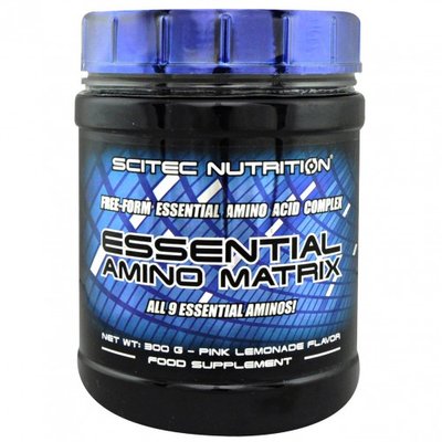 Essential Amino Matrix 300 грам, Лимон 101 фото