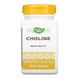 Nature's Way Choline 500 mg 100 таблеток 1870 фото 1