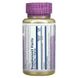 Solaray Berberine 500 mg 60 рослинних капсул SOR-47705 фото 2
