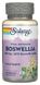 Solaray Boswellia Extract 450 mg 60 рослинних капсул SOR-39905 фото 1
