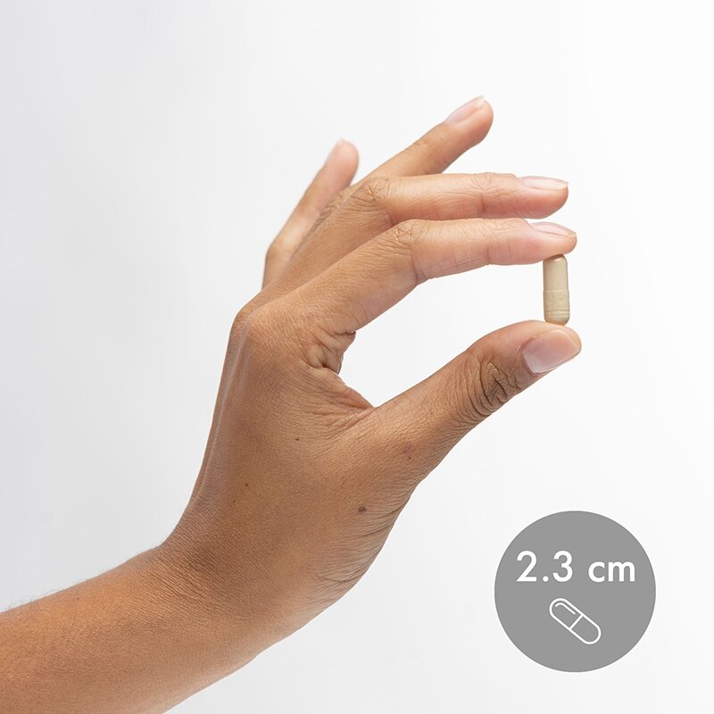 Ферменти люмброкінази Dr. Mercola Lumbrokinase Enzymes, 30 капсул для підтримки серцево-судинної системи. Фото 3