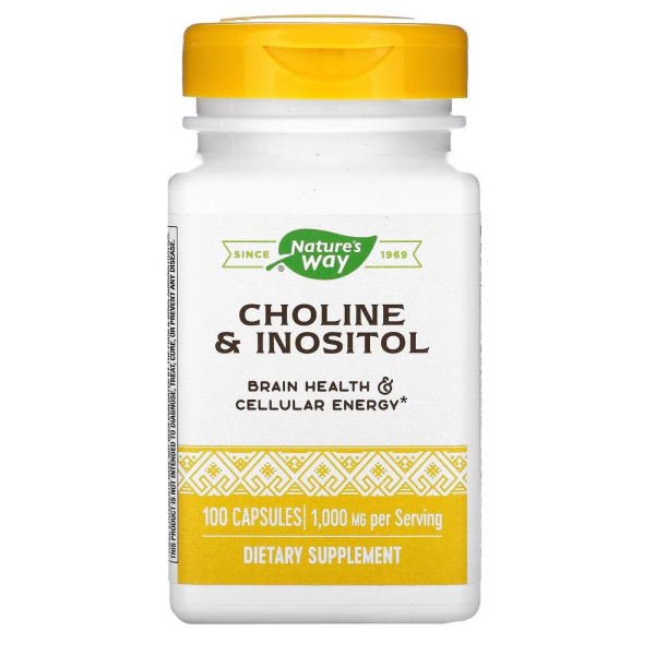 Холін та інозитол Nature's Way Choline & Inositol, 100 капсул для підтримки мозкової функції